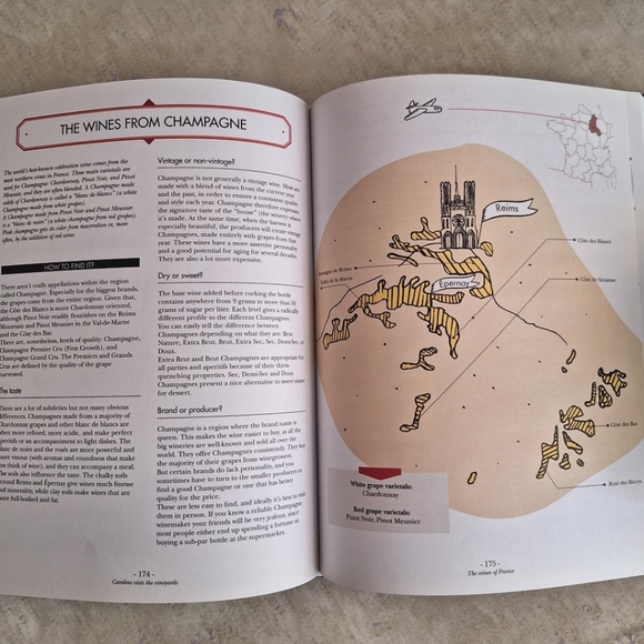 Wine Isn't Rocket Science by Ophelie Nieman - Picture 6 of 8